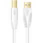 CONNECTIQUE INFORMATIQUE () SINOX USB-A M - USB-B M 2 0M BLANC SXC 4102 CONNECTIQUE INFORMATIQUE () SINOX USB-A M - USB-B M 2 0M BLANC SXC 4102