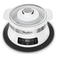 CUISEUR VAPEUR CUISEUR RIZ MOULINEX PEM Steam Up 550w+livre Recettes B VJ 504010