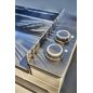 PLANCHA ELECTRIQUE FORGE ADOUR 60cm Email 3200w Therm Inoxno PREMIUME60ANG