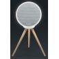 ENCEINTES NOMADES MUSE 100w Color Lights Bt Port Spla ML655BT