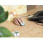 SOURIS (SOURSOUR) TRUST Souris Ssfil Compacte Yvi+eco 24552