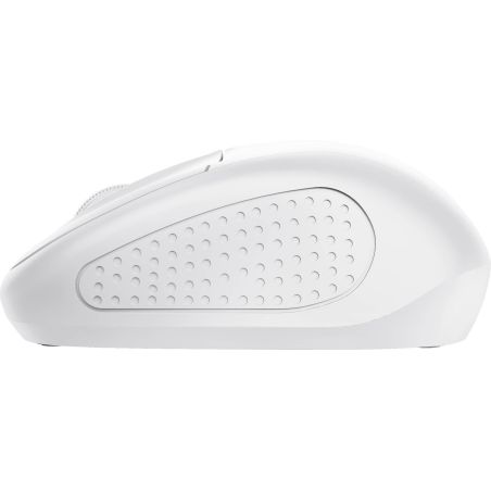SOURIS (SOURSOUR) TRUST Souris Ssfil Compact Primo Bl 24795