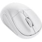 SOURIS (SOURSOUR) TRUST Souris Ssfil Compact Primo Bl 24795