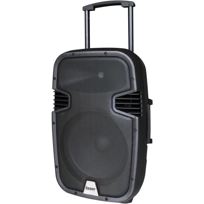 ENSEMBLE PORTABLE RONDSON Seg Enceinte 130w 2mic Usbsd RUNNER15