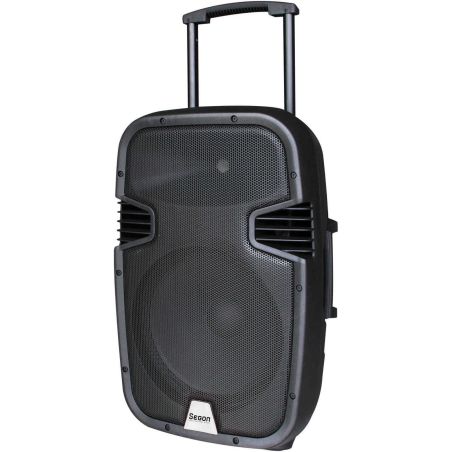 ENSEMBLE PORTABLE RONDSON Seg Enceinte 130w 2mic Usbsd RUNNER15