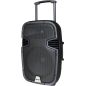 ENSEMBLE PORTABLE RONDSON Seg Enceinte 130w 2mic Usbsd RUNNER15