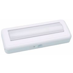 LAMPE ET ECLAIRAGE DECORATIF INTEGRAL Regl Eclair Placard 180mm 3000 ILWL007