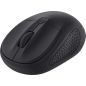 SOURIS (SOURSOUR) TRUST Souris Ssfil Compact Primo No 24794