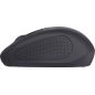 SOURIS (SOURSOUR) TRUST Souris Ssfil Compact Primo No 24794
