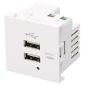 BLOCS MULTIPRISES ET RALLONGES ITC ERARD CONNECT Plastron Charge 2usb A 2x2 1a 722836 BLOCS MULTIPRISES ET RALLONGES ITC ERARD CONNECT Plastron Charge 2usb A 2x2 1a 722836