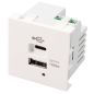 BLOCS MULTIPRISES ET RALLONGES ITC ERARD CONNECT Plastron Charge 1usb A+1usb C 902837 BLOCS MULTIPRISES ET RALLONGES ITC ERARD CONNECT Plastron Charge 1usb A+1usb C 902837