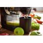 EXTRACTEUR DE JUS PHILIPS DOMESTIC APLLIANCES Viva 150w 1l Cheminee Xl Livre HR 1889/70