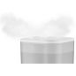 HUMIDIFICATEUR ET DIFFUSEUR ROWENTA Humidificateur Aqua Boost 3mod HU4020F0