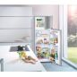 REFRIGERATEUR 2 PORTES LIEBHERR GEM 234l 190+44 H140l55 37db FC In CTPEL231-21