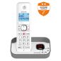 TELEPHONE SANS FIL (TSFISFIL) ALCATEL Dect 100mem Ml Rep14mn Bloc Ap F860VOICEGREY