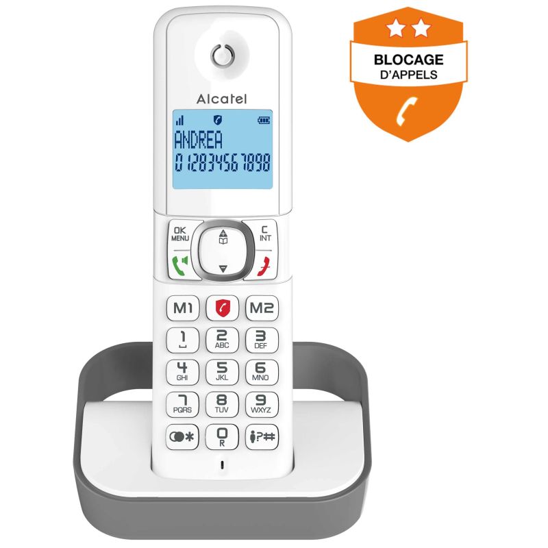 TELEPHONE SANS FIL (TSFISFIL) ALCATEL Dect 100mem Ml Bloc Appels Gri F860GREY