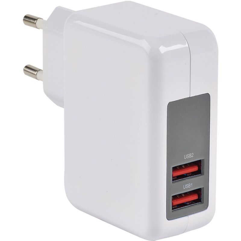 BLOCS MULTIPRISES ET RALLONGES ITC ERARD CONNECT Charg 2xusb A F 230v 5v2,4a+1 728203 BLOCS MULTIPRISES ET RALLONGES ITC ERARD CONNECT Charg 2xusb A F 230v 5v2,4a+1 728203
