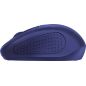 SOURIS (SOURSOUR) TRUST Souris Ssfil Compact Primo Bl 24796