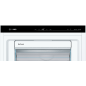CONGELATEUR ARMOIRE BOSCH MENAGER S6 290l Aut14h H161l70 Nofr 38 GSN 51 AWDV