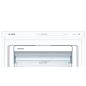 CONGELATEUR ARMOIRE BOSCH MENAGER Ser4 366l Aut12h H191l70 39db GSN 58 VWEV