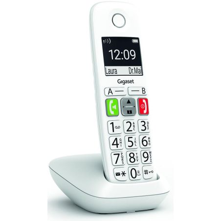 TELEPHONE SANS FIL (TSFISFIL) GIGASET Dect 150nom Ml Ecran+ Touche X GIGA E 290 BLANC