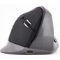 SOURIS (SOURSOUR) BLUESTORK Souris Ergonomiq Ssfil Recharg M-WL-ERGO-BK
