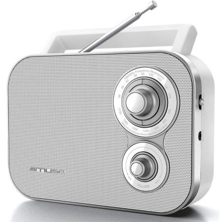 RADIO MUSE Tuner Analog Fmmw Pilesect B M 051 RW