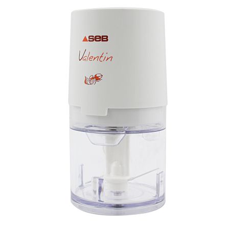 MINI HACHOIR - RAPE SEB PEM 220w 0,2l0 50kg 1vit 1lame Bl 855306